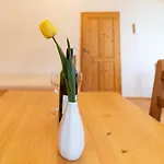 U Hájovny U Pískoven -